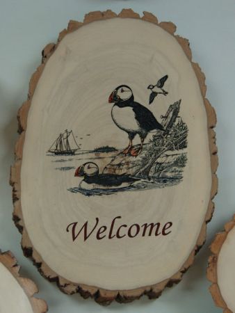 puffin