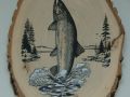 salmon