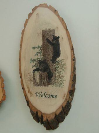 welcome cubs