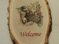 welcome loon